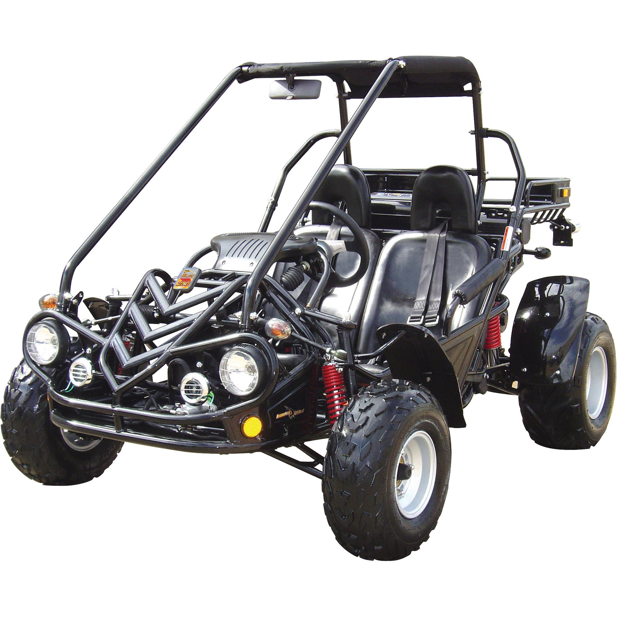 Stingray 250cc 2-Seat Go-Kart